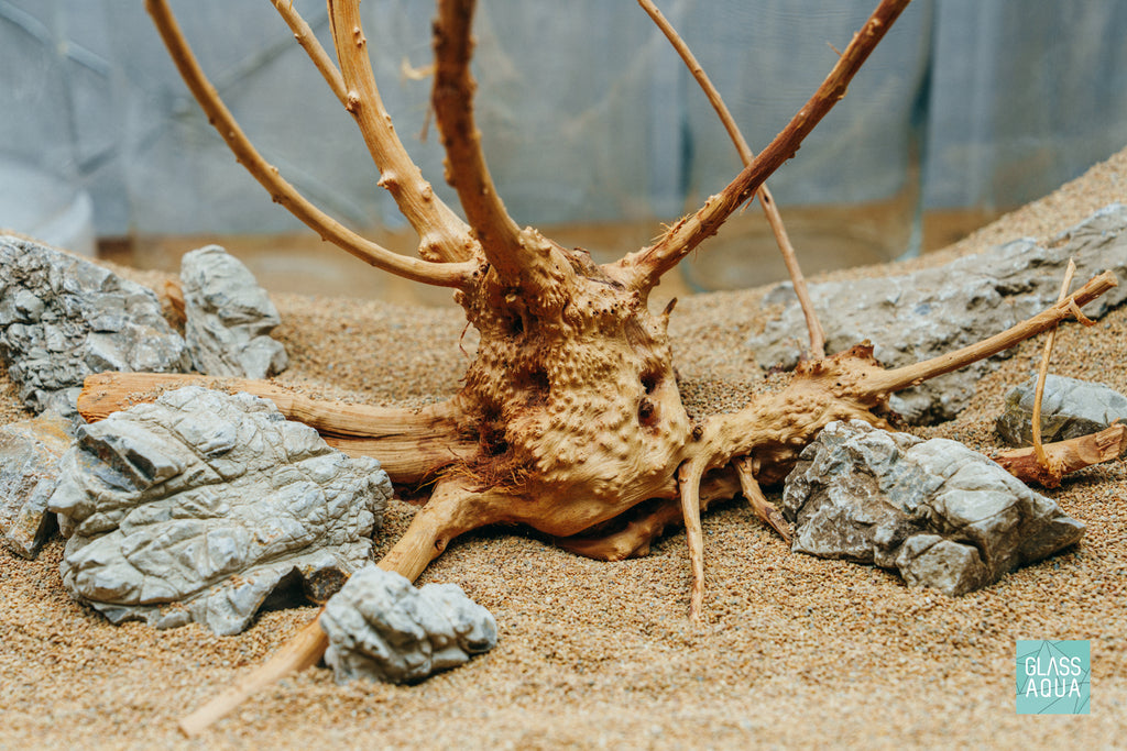 Spiderwood and aquarium rocks in the UNS 5N Nano rimless tank