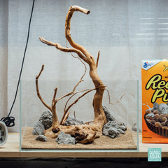 Quick Scape 174 Aquascaping Bundle