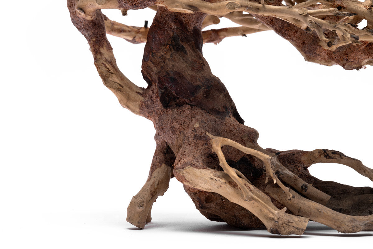 Ultum Nature Systems UNS Bonsai Tree Driftwood Aquarium Hardscape Wood 019