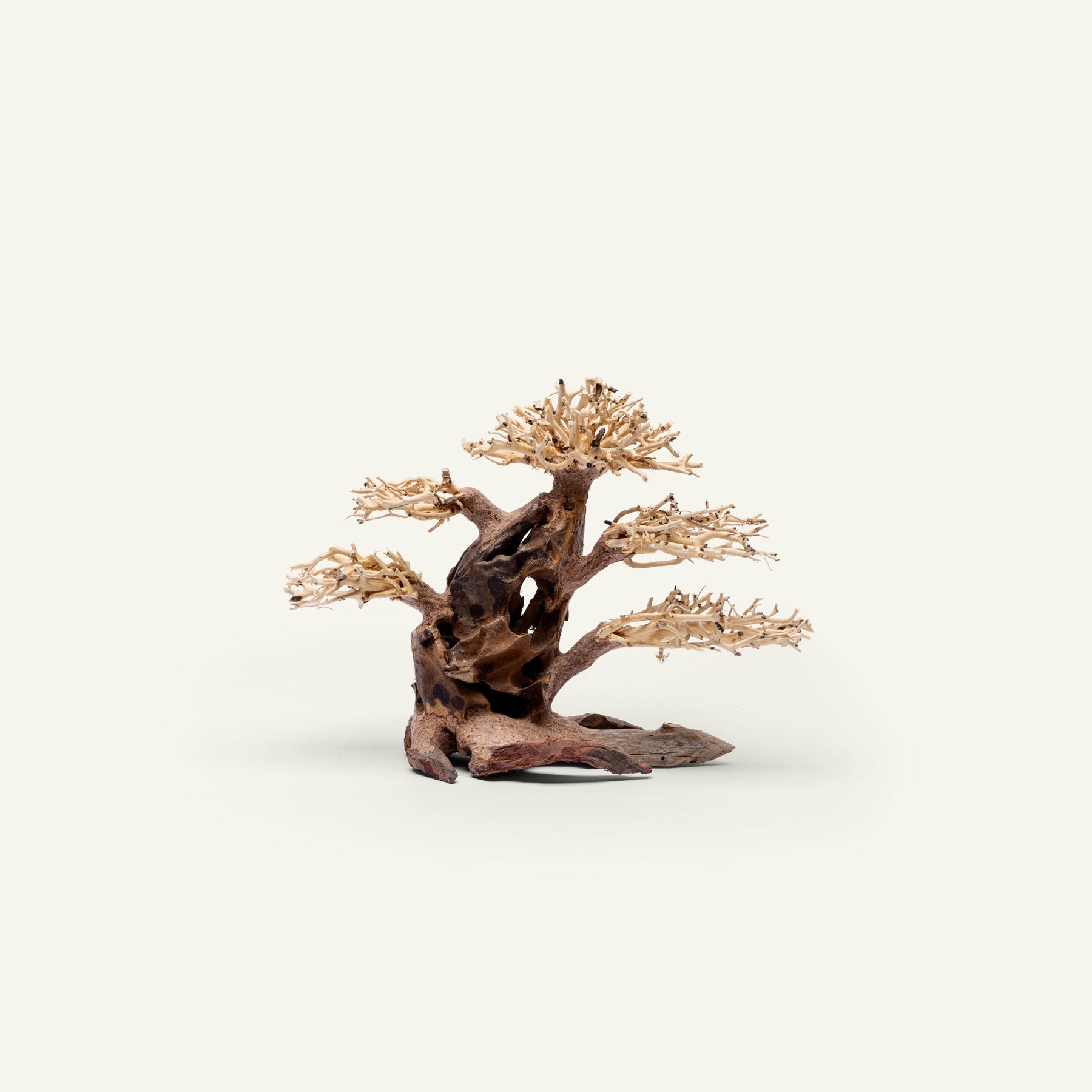 Ultum Nature Systems UNS Bonsai Tree Driftwood Aquarium Hardscape Wood 020