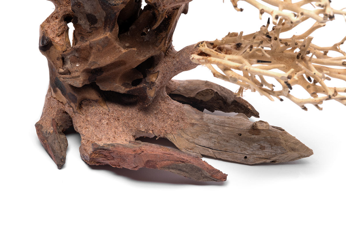 Ultum Nature Systems UNS Bonsai Tree Driftwood Aquarium Hardscape Wood 020