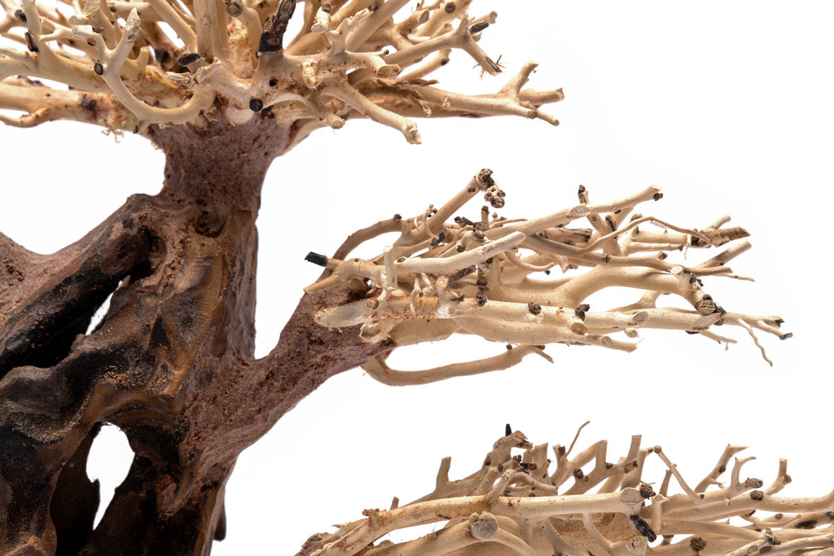 Ultum Nature Systems UNS Bonsai Tree Driftwood Aquarium Hardscape Wood 020