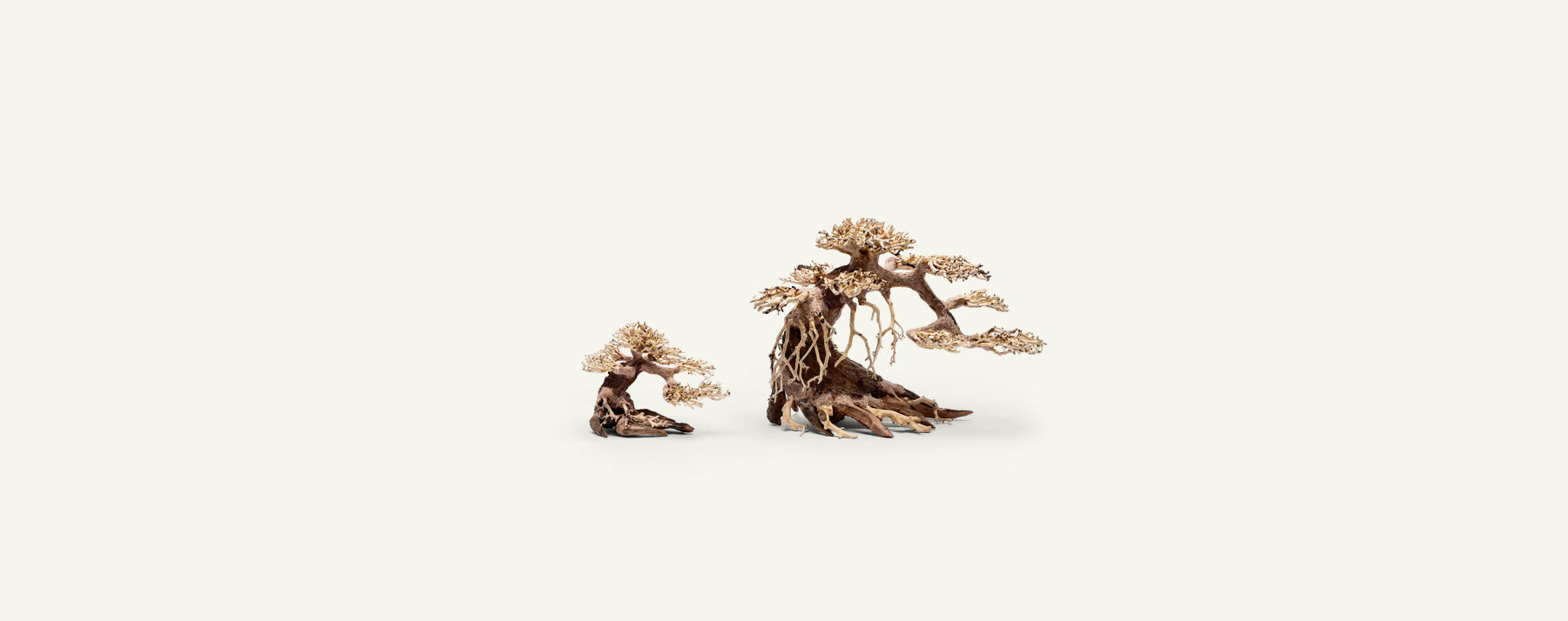 UNS Bonsai 021 - Glass Aqua