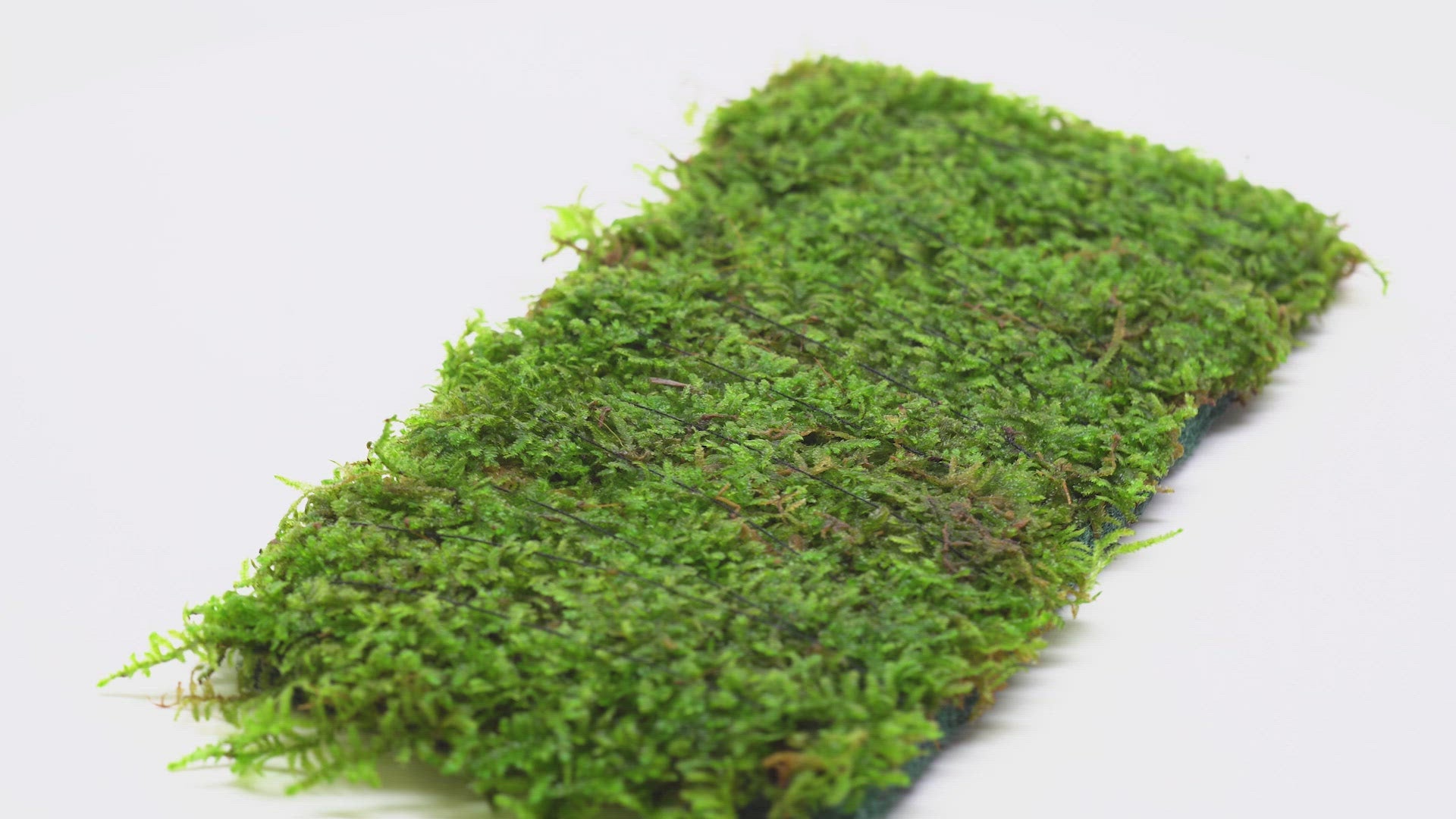 Christmas Moss Fiber Mat