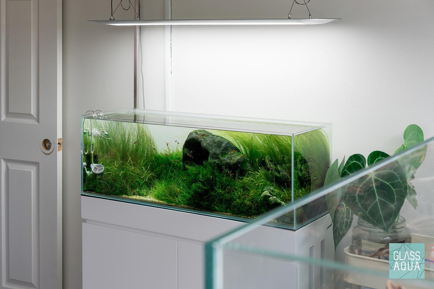 UNS Rimless Long Glass Aquarium Tank - Glass Aqua