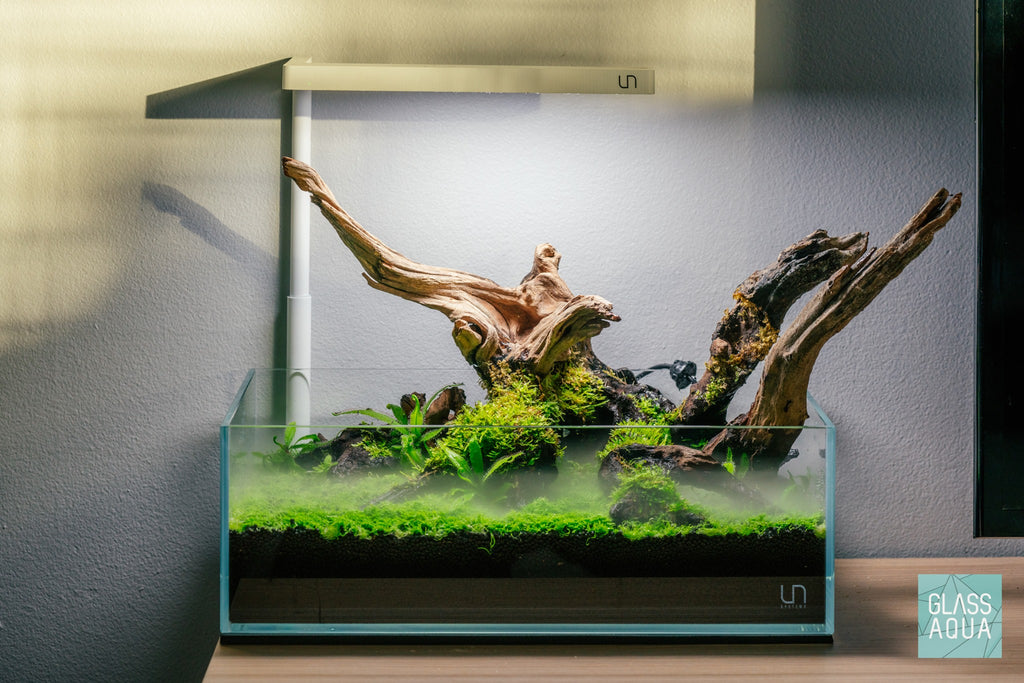 UNS Rimless Shallow Glass Aquarium Tank - Glass Aqua