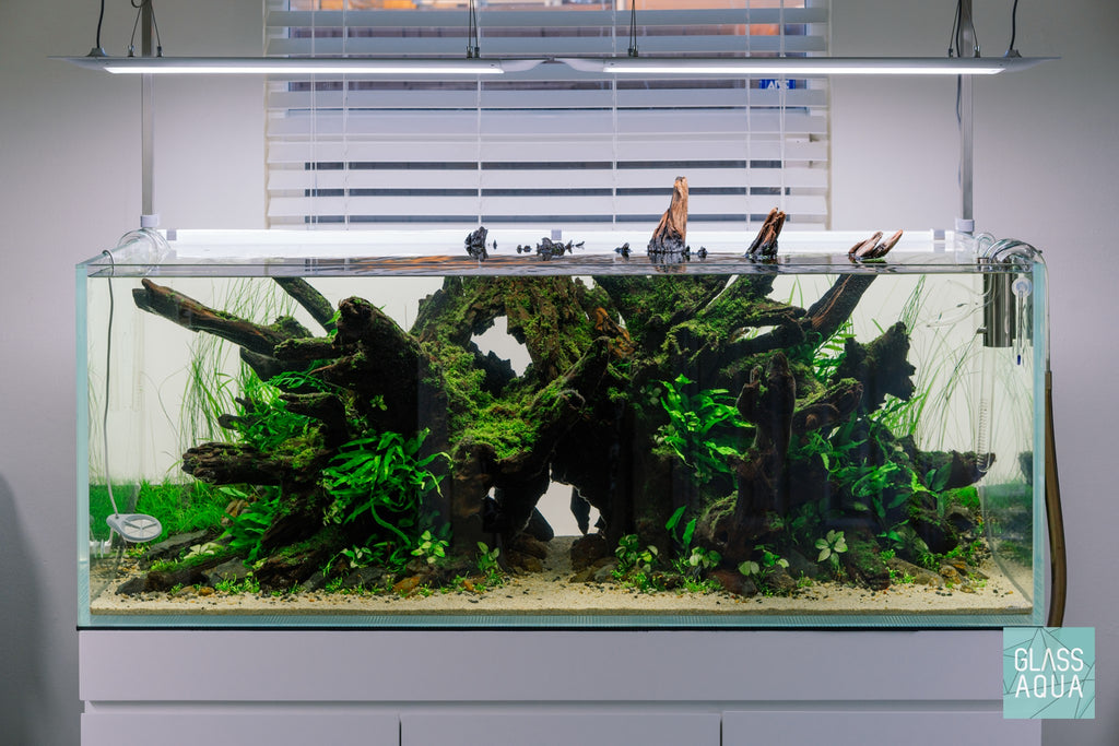Natural River Rock Gravel Aquarium Hardscape for Planted Aquarium Tank –  Glass Aqua