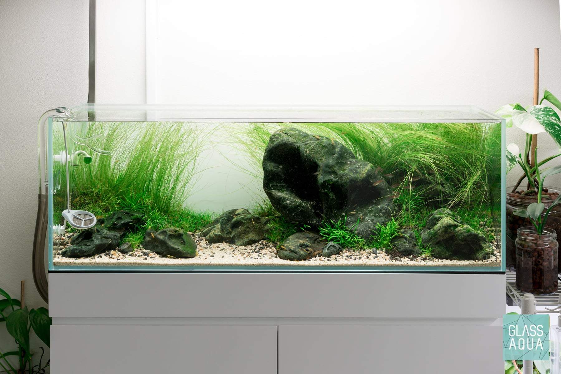 Natural River Rock Gravel Aquarium Hardscape for Planted Aquarium Tank –  Glass Aqua