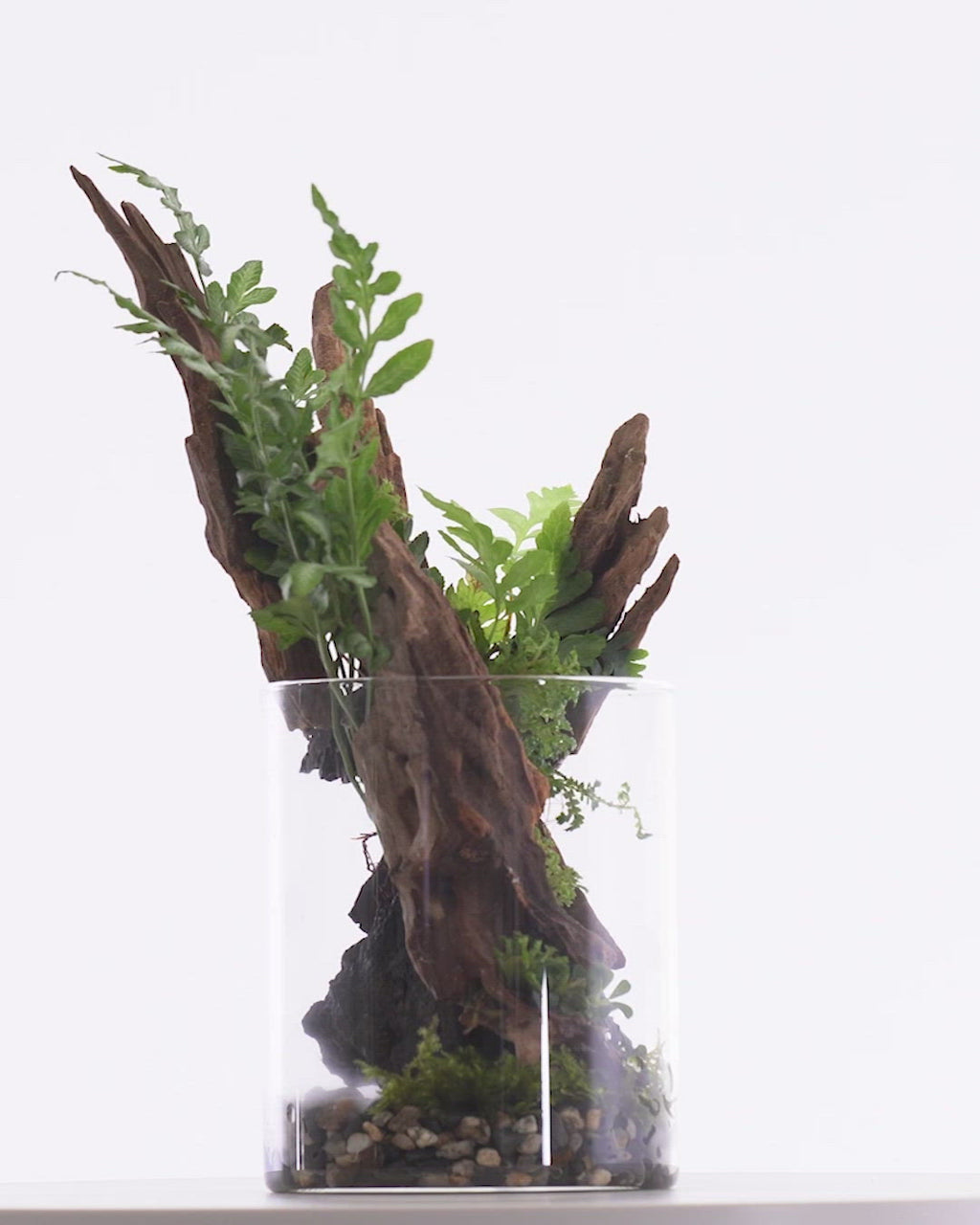 Aqua Worx Iota Plant Cultivation Cup