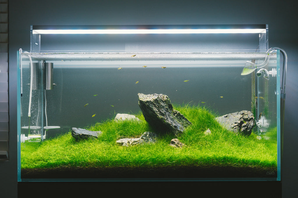Twinstar LED E Series Light - Glass Aqua