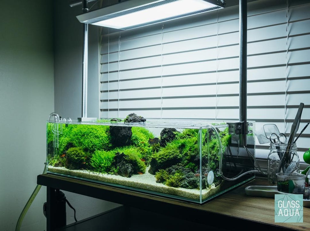 UNS Rimless Shallow Glass Aquarium Tank