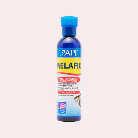 API Melafix - Glass Aqua