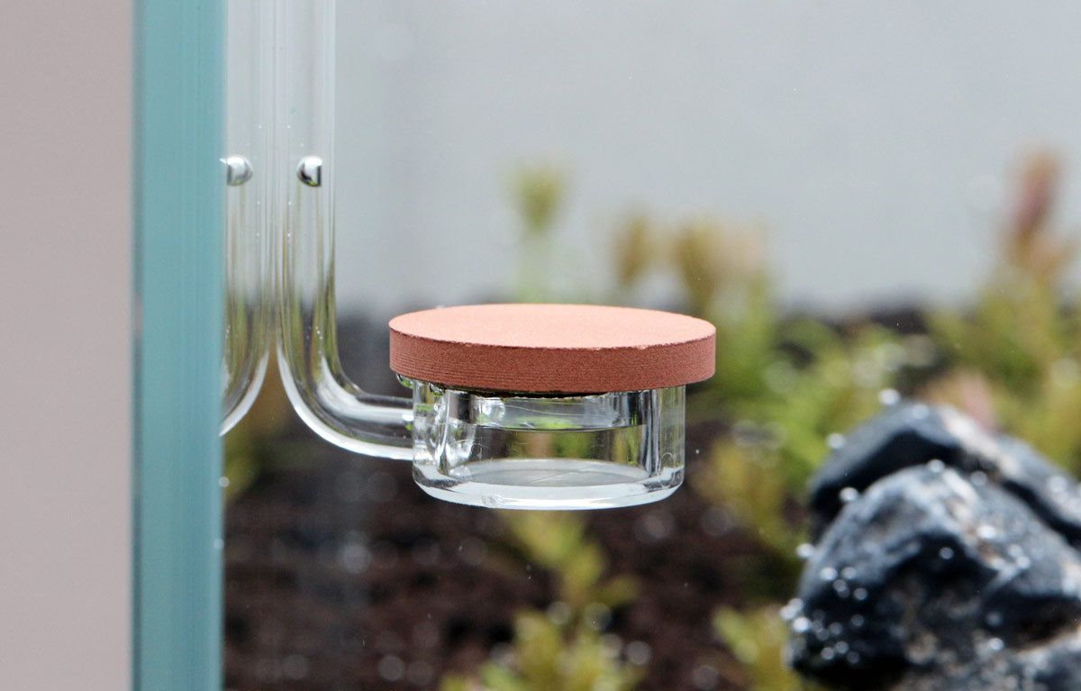 Shop Aquario NEO Extended Acrylic CO2 Diffuser CO2 - Glass Aqua