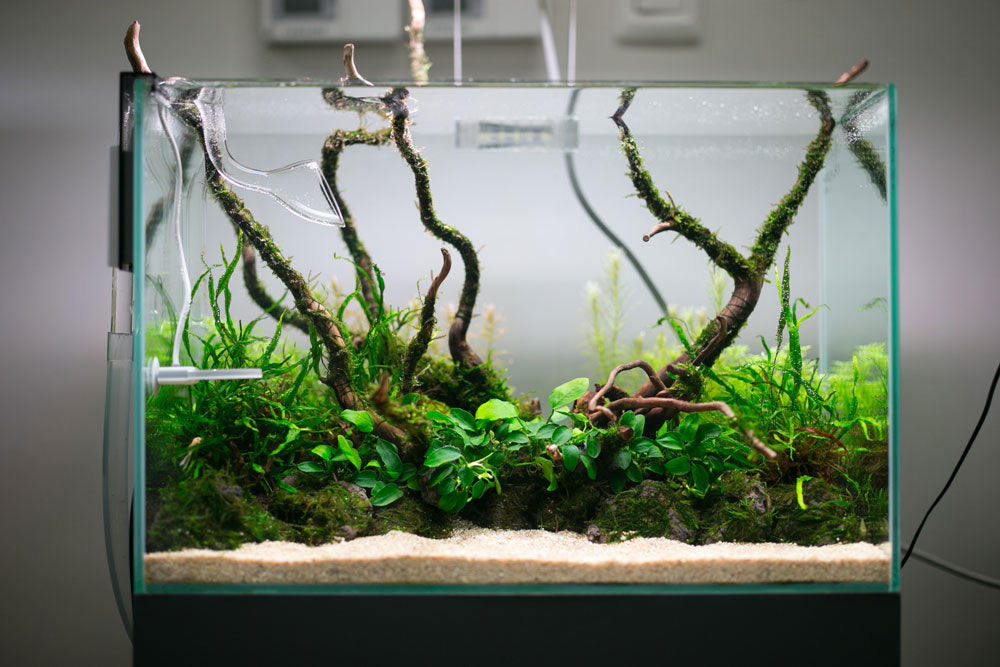 Shop Aquario Neo Soil Substrate - Glass Aqua