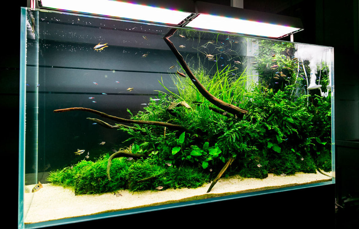 Shop Aquario Neo Soil Substrate - Glass Aqua