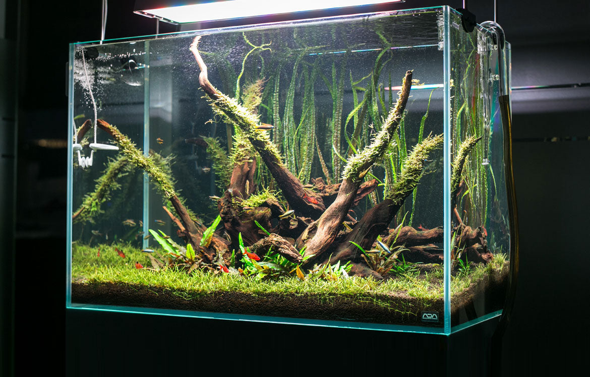 Shop Aquario Neo Soil Substrate - Glass Aqua