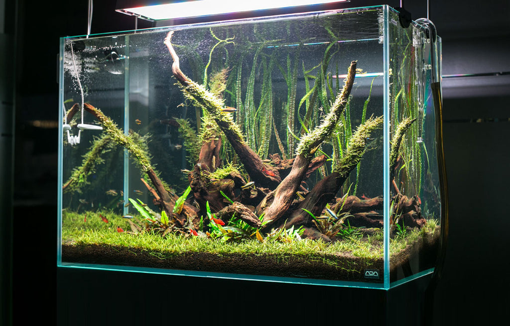 Aquario Neo Soil Planted Tank Substrate For Aquatic Plants – Glass Aqua