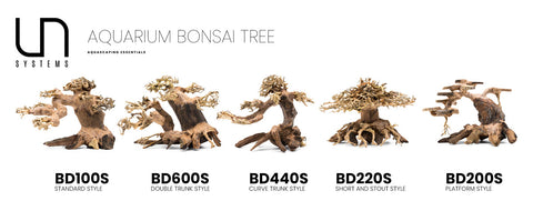 Shop Bonsai Tree Driftwood Small Hardscape - Glass Aqua