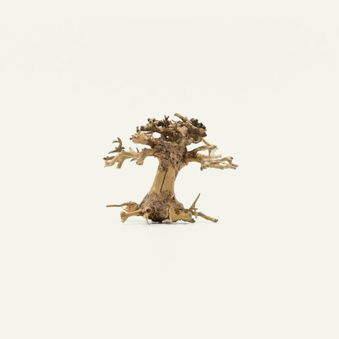 Shop Bonsai Tree Driftwood Mini Accent Hardscape - Glass Aqua