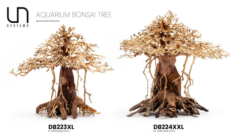 Shop Bonsai Tree Driftwood Africana Hardscape - Glass Aqua