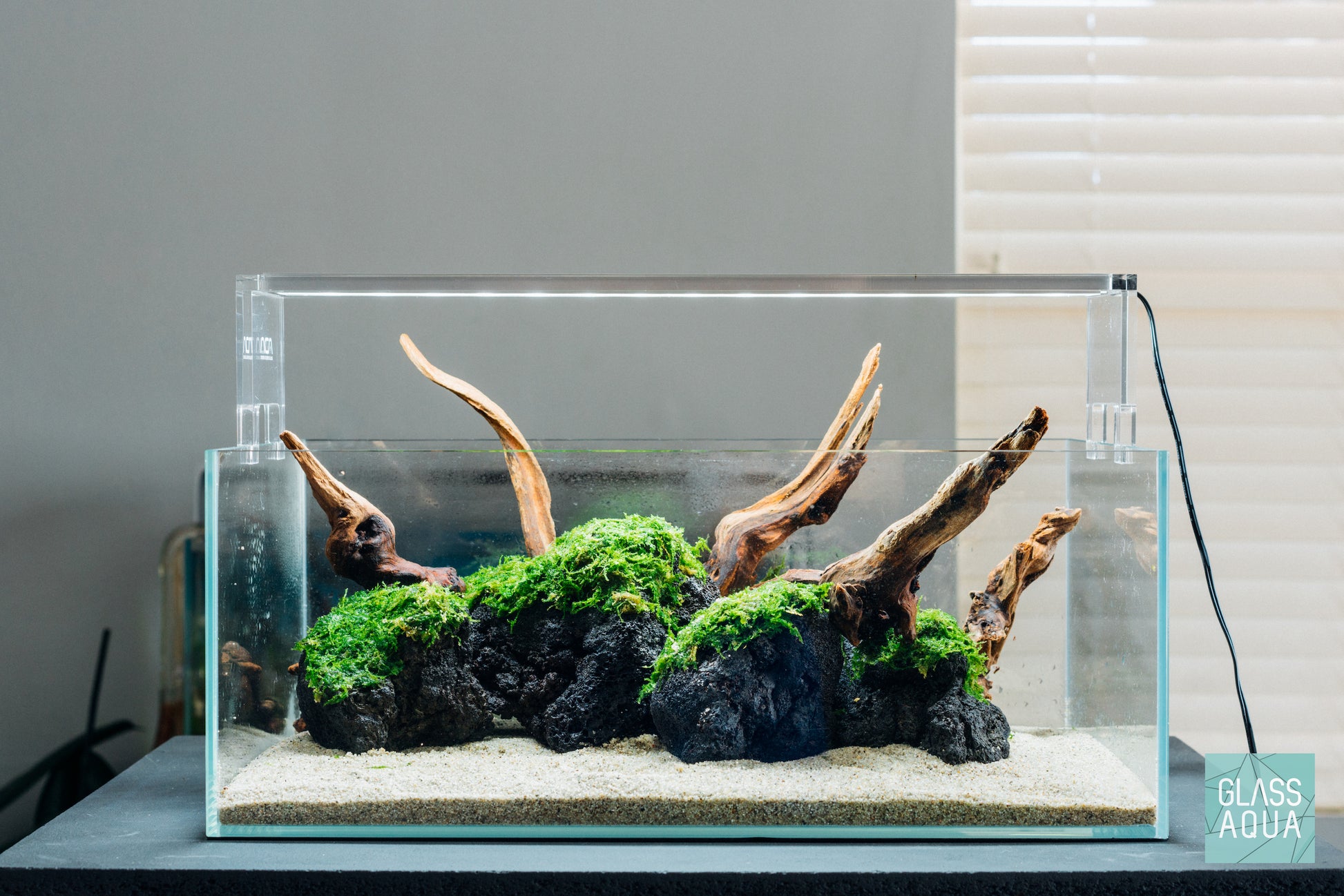 Christmas Moss - Glass Aqua