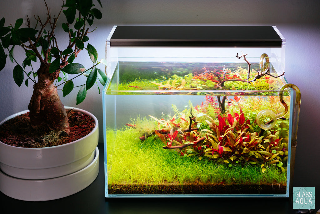 UNS Rimless Nano Glass Aquarium Tank - Glass Aqua