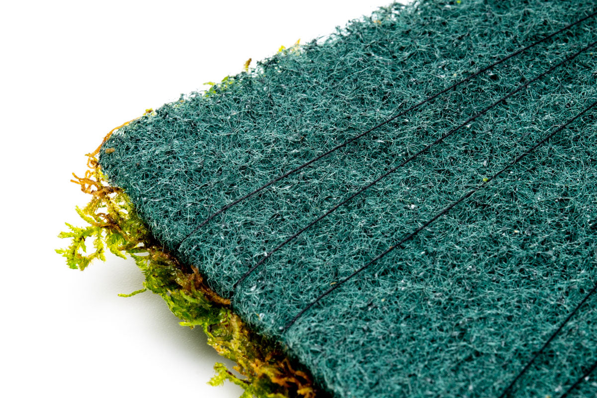 Christmas Moss Fiber Mat Aquarium Moss Decor for Planted Aquarium