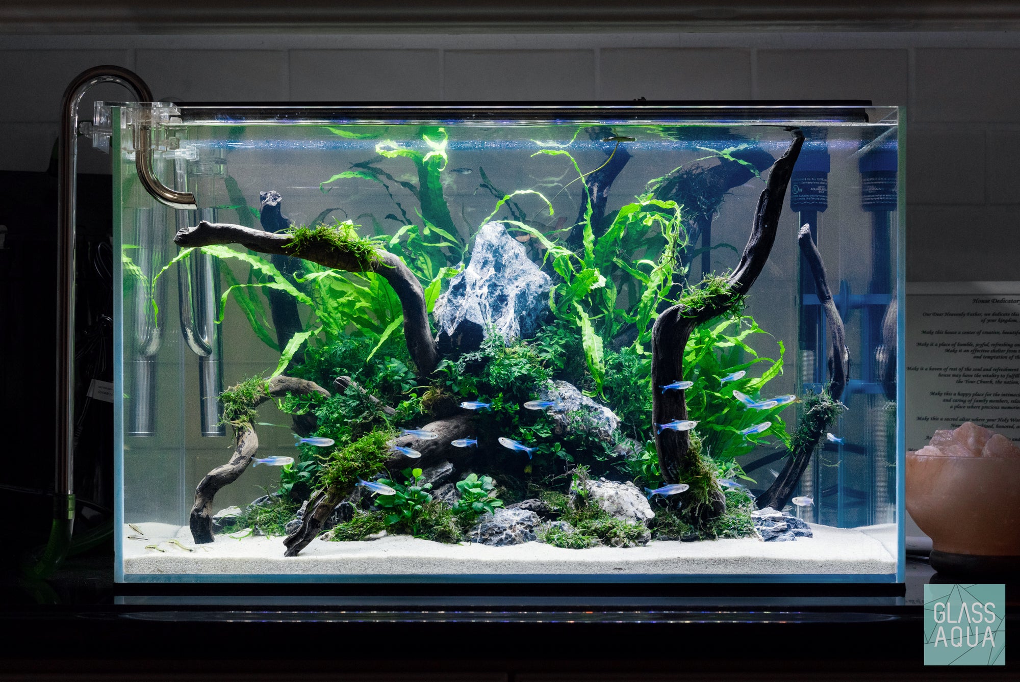 UNS Rimless Standard Glass Aquarium Tank - Glass Aqua