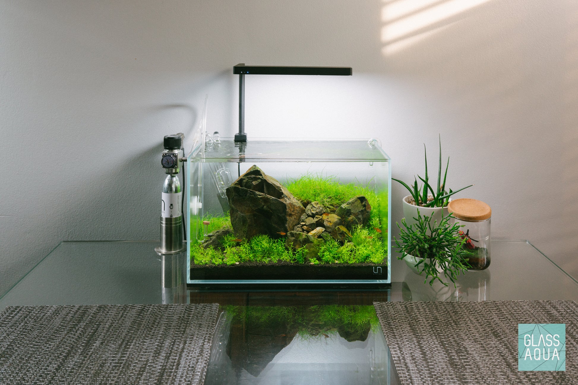 Shop Manten Stone Hardscape - Glass Aqua