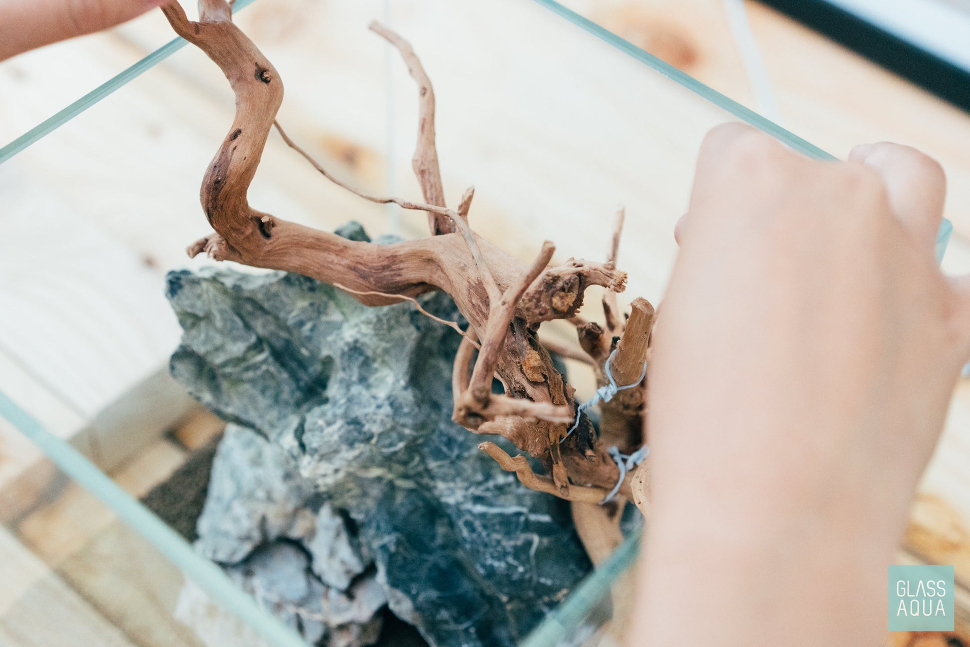 Spider Wood - Glass Aqua