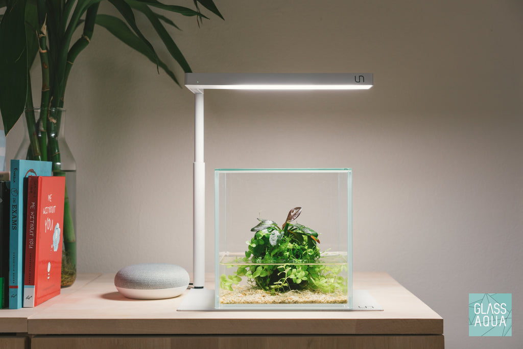 Shop Wabi Kusa Starter Kit Bundles and Kits - Glass Aqua
