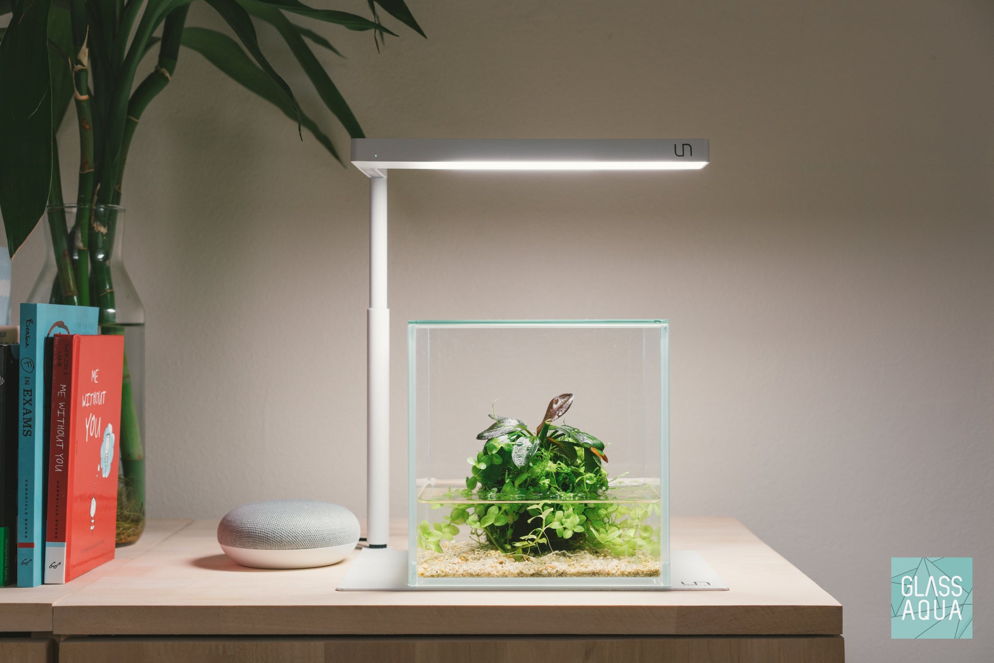 Shop Wabi Kusa Starter Kit Bundles and Kits - Glass Aqua