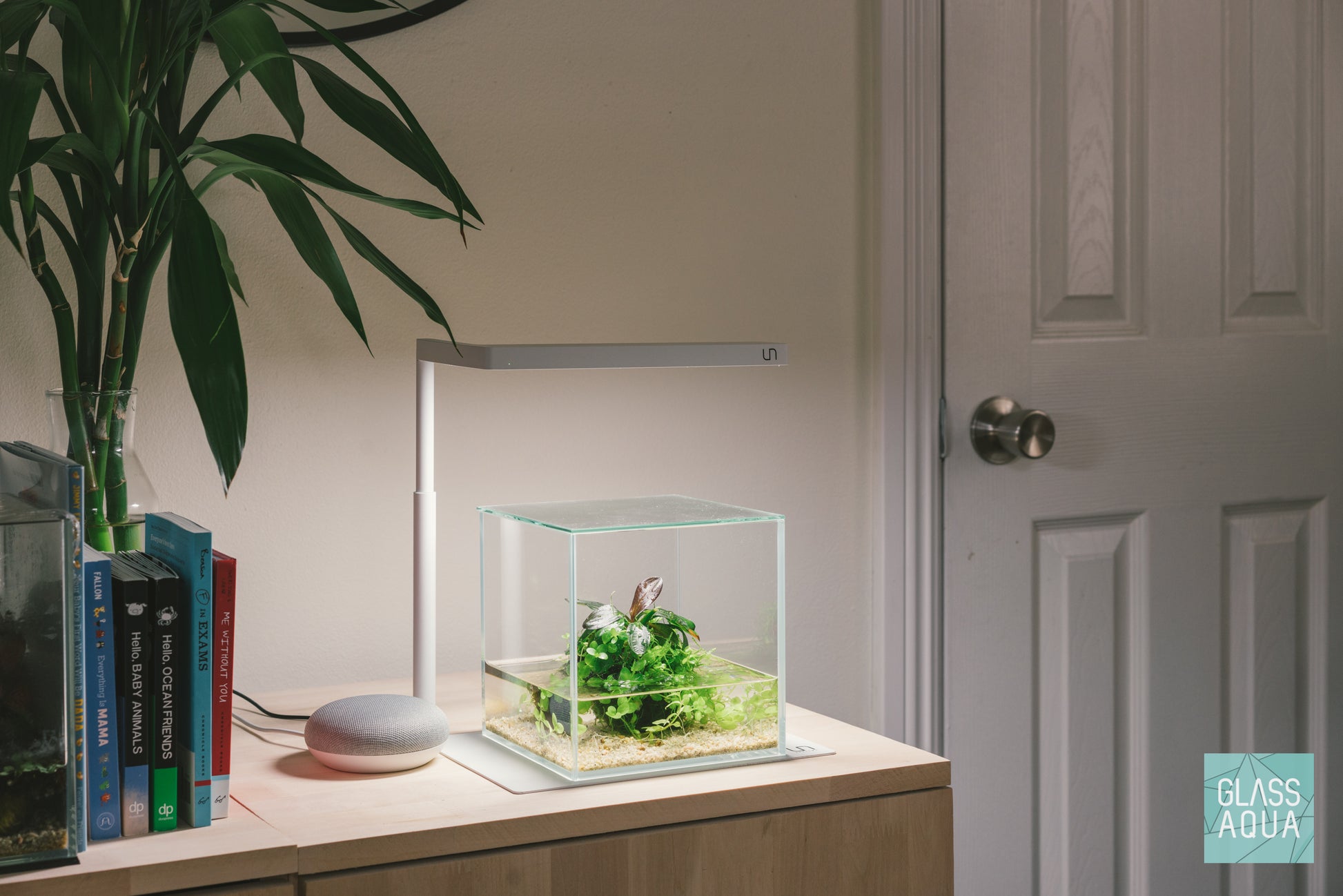 Shop Wabi Kusa Starter Kit Bundles and Kits - Glass Aqua