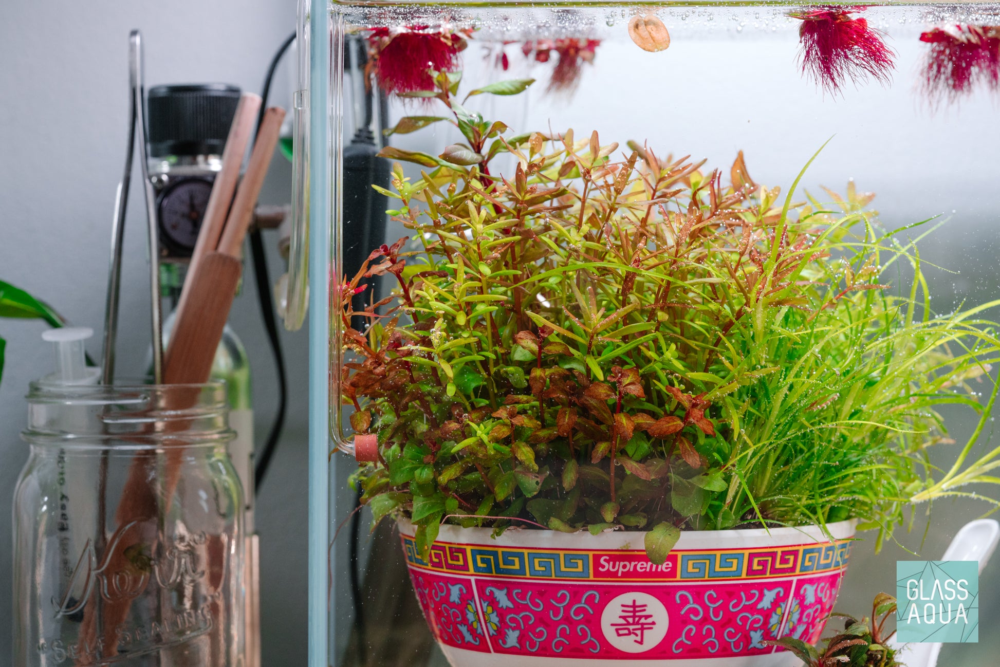 Aquario Curved Tiny Acrylic Diffuser for Planted Aquarium Tank