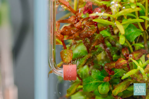 Aquario Curved Tiny Acrylic Diffuser for Planted Aquarium Tank