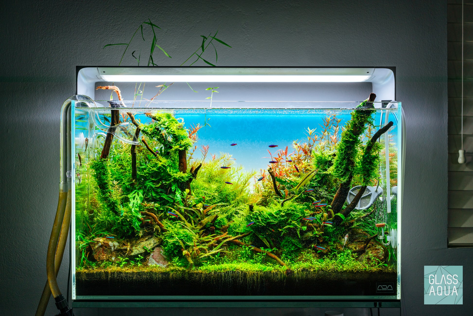 Shop ONF Flat ONE Plus LED Light Lighting - Glass Aqua