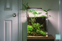 Shop UNS Cube All-In-One Complete Aquarium Tank System Aquarium Tanks - Glass Aqua