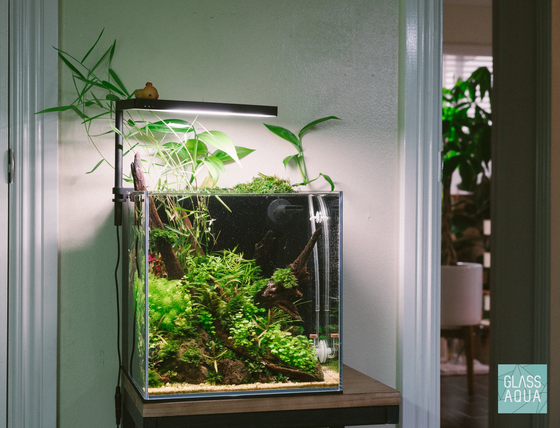 Shop UNS Cube All-In-One Complete Aquarium Tank System Aquarium Tanks - Glass Aqua