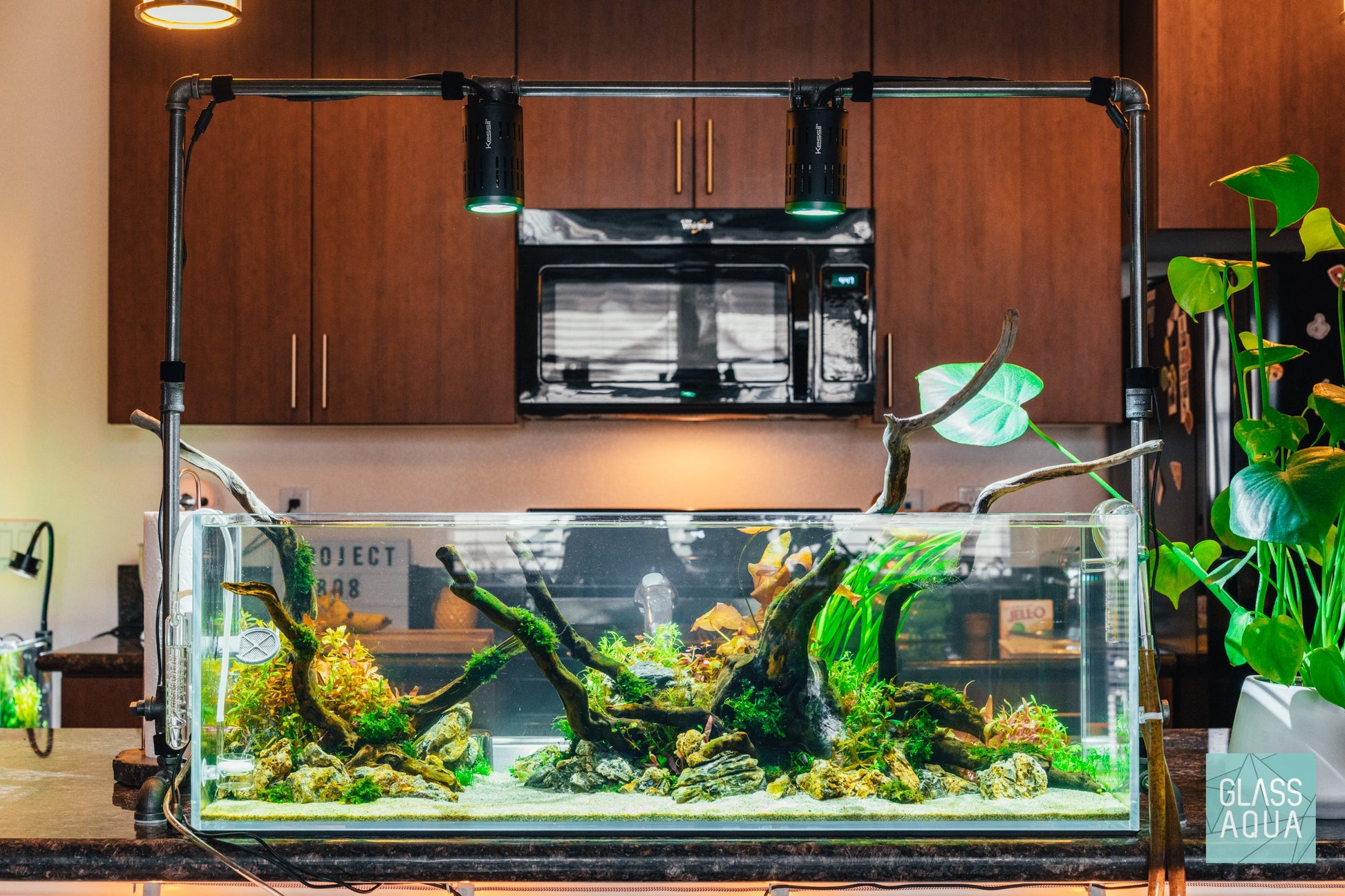 UNS Rimless Long Glass Aquarium Tank - Glass Aqua