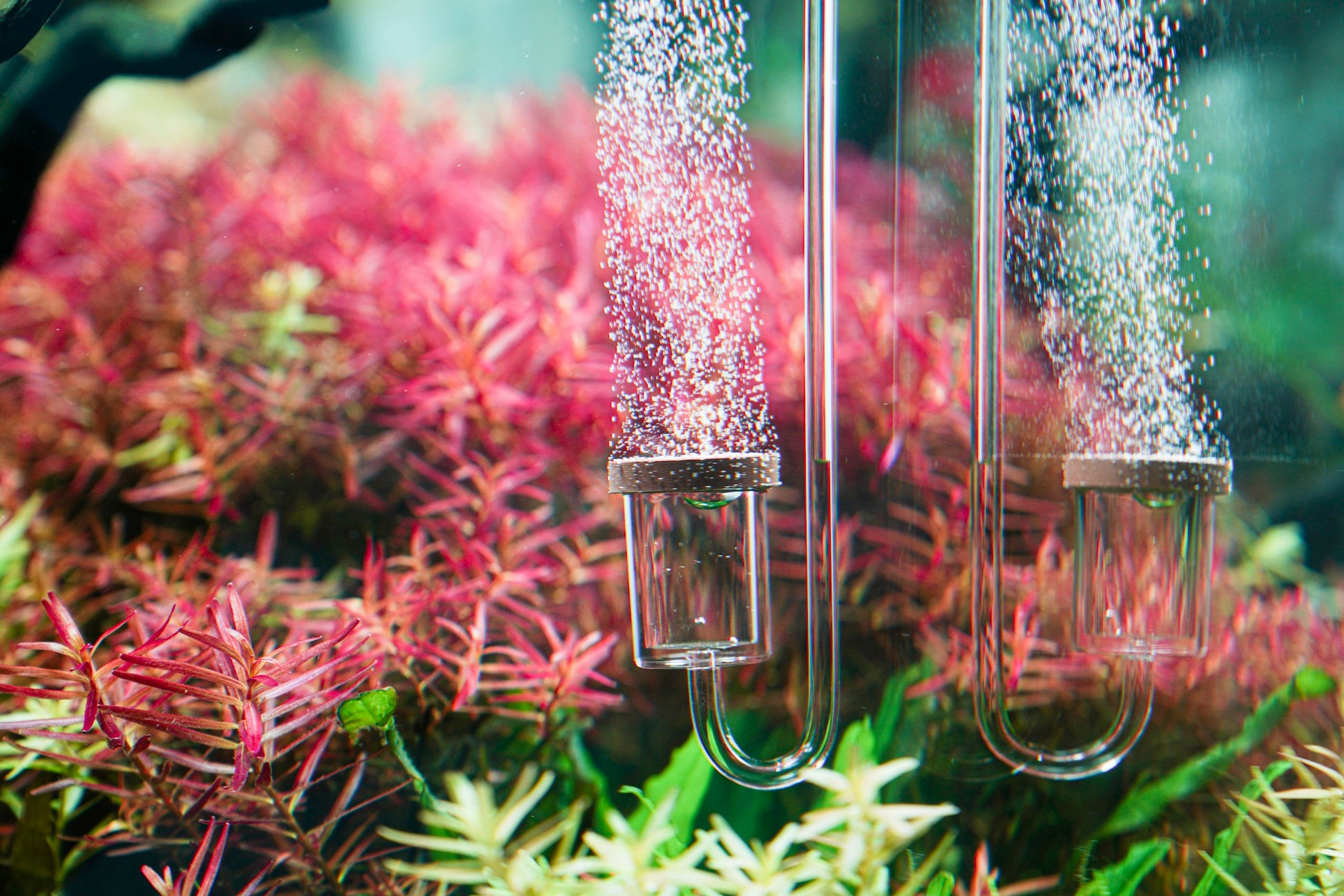Aquario Normal Original Acrylic CO2 Diffuser for Planted Aquarium Tank