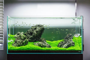 Ryuoh Stone - Glass Aqua