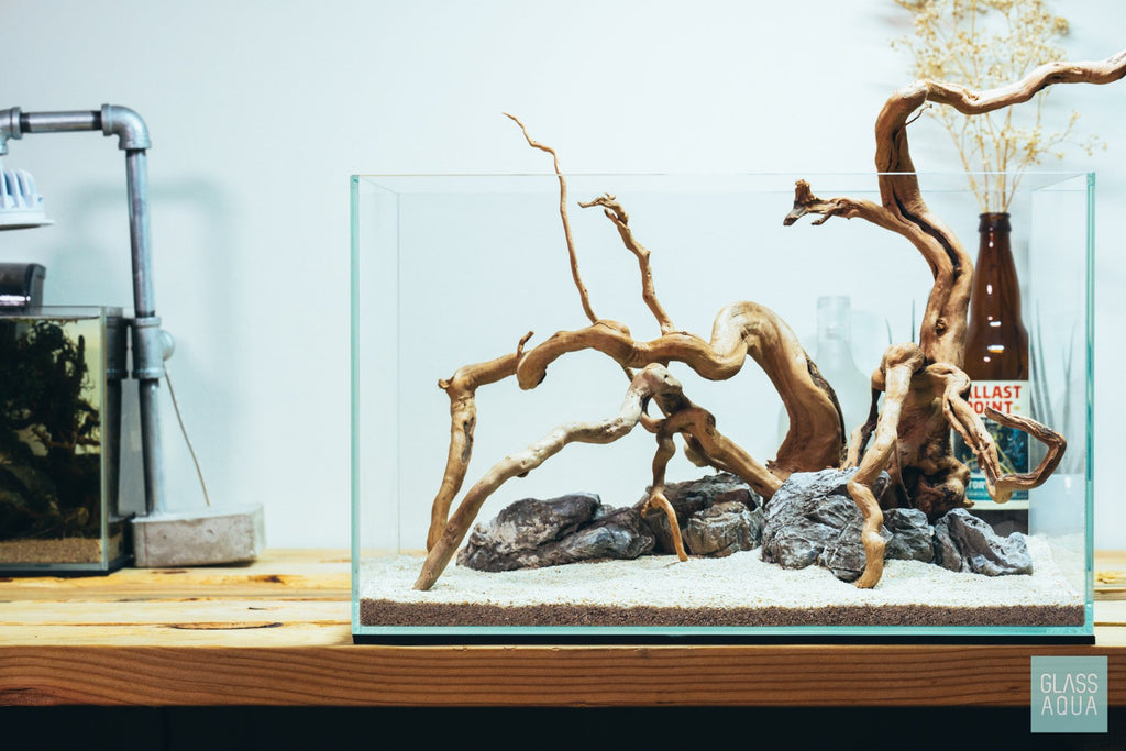 Spider Wood - Glass Aqua