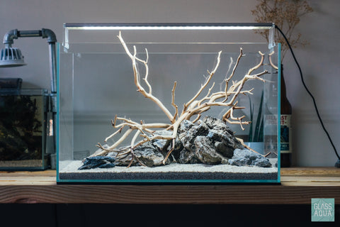 Manzanita Twig Wood - Glass Aqua