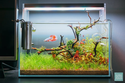 UNS Rimless Nano Glass Aquarium Tank - Glass Aqua