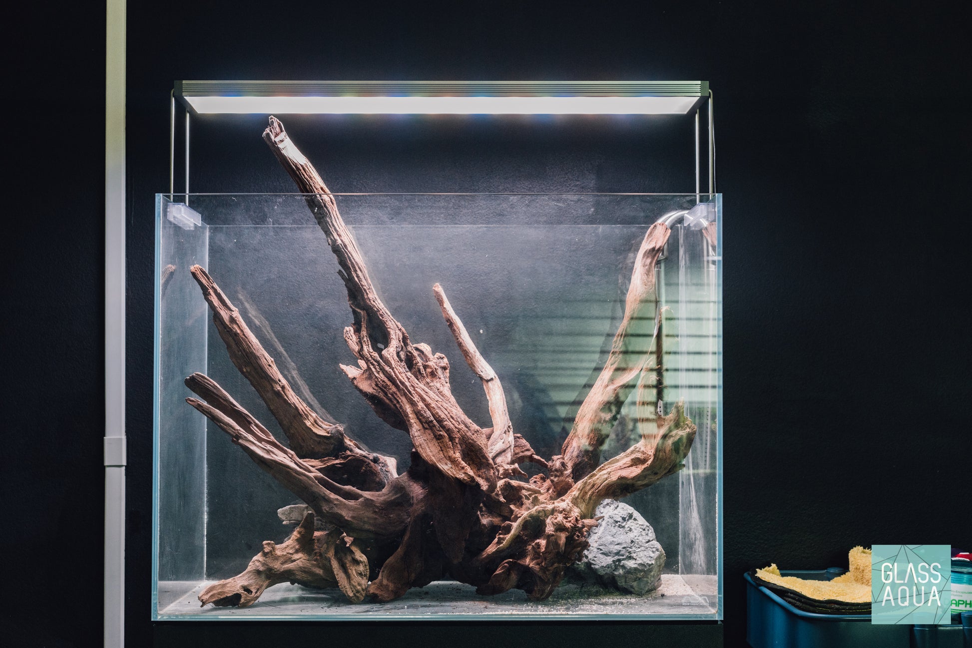 Shop Amazon Wood Hardscape - Glass Aqua