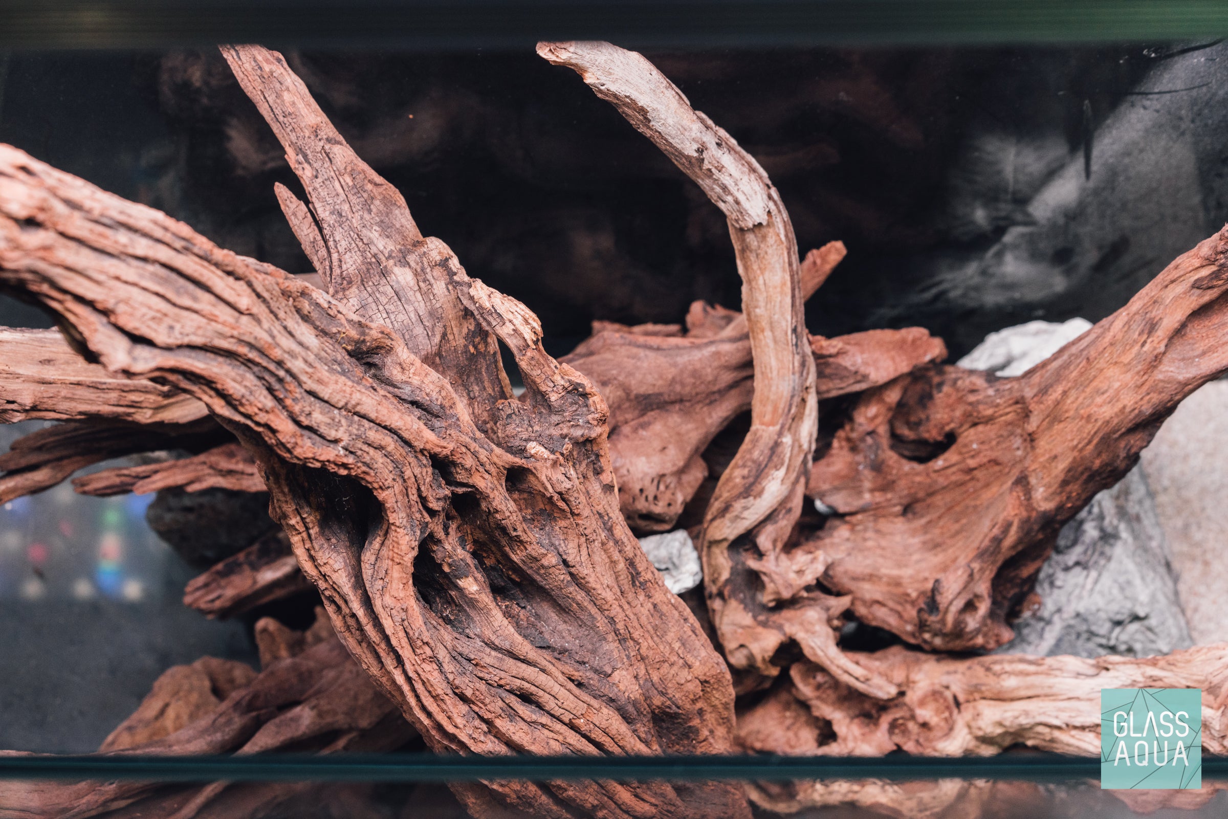 Aquascape Hardscape: Large Spiderwood Driftwood Show Pieces