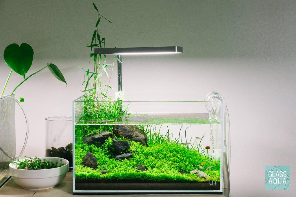 Shop ONF Flat Nano LED Light - Rose Gold Lighting - Glass Aqua
