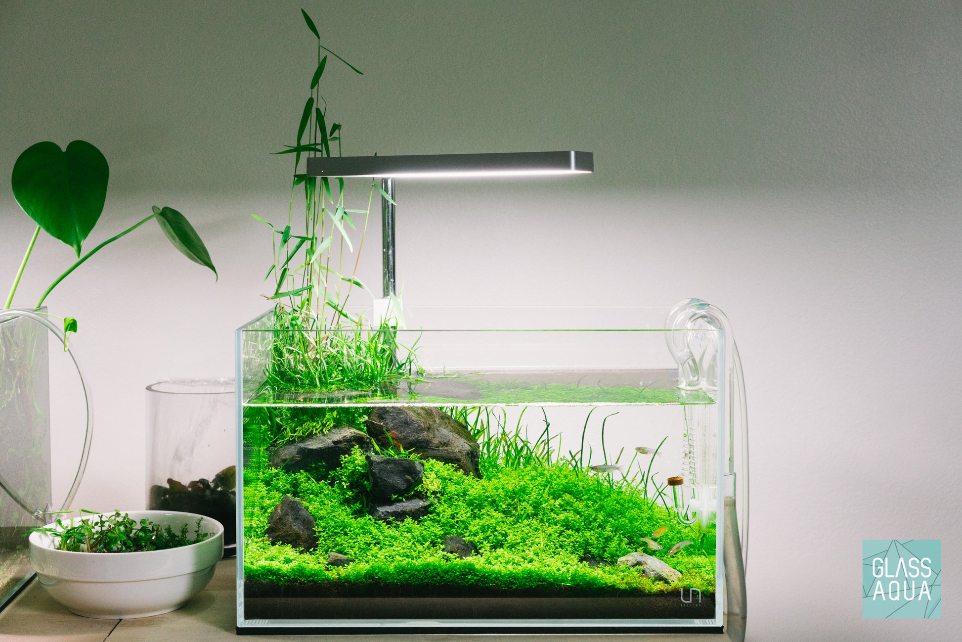 Shop ONF Flat Nano LED Light - Rose Gold Lighting - Glass Aqua