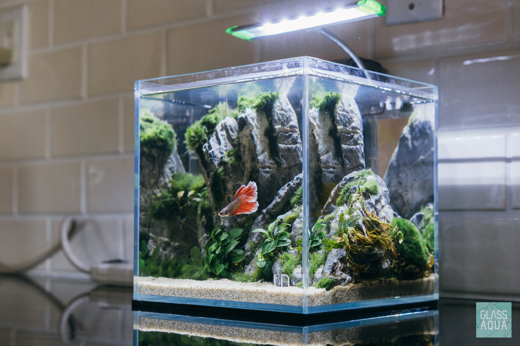 Ultum Nature Systems Rimless Cube Glass Aquarium Tank
