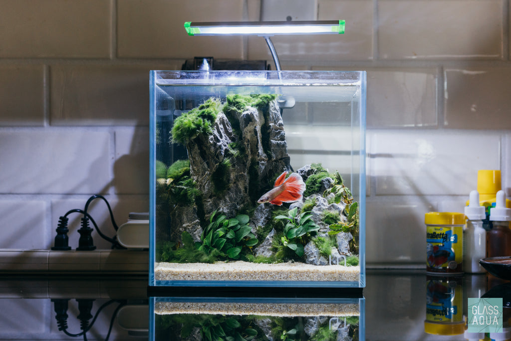 UNS Rimless Cube Glass Aquarium Tank - Glass Aqua